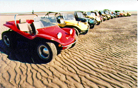 Show 'N Shine on sand